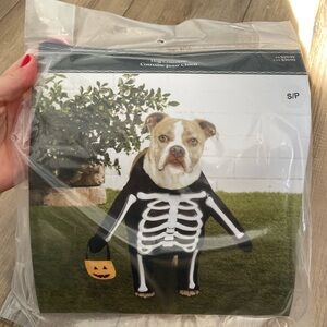 Dog Skeleton Costume with Pumpkin